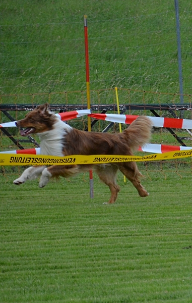 Samhunderennen